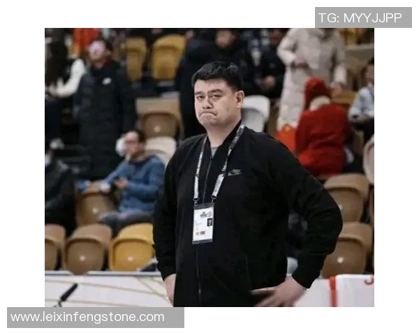 姚明运动标志的背后故事与影响力解析，探索篮球巨星的品牌价值与文化传承