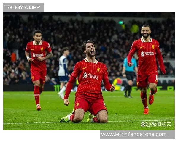 热刺主场大胜马竞3-0绝杀时刻点燃全场激情